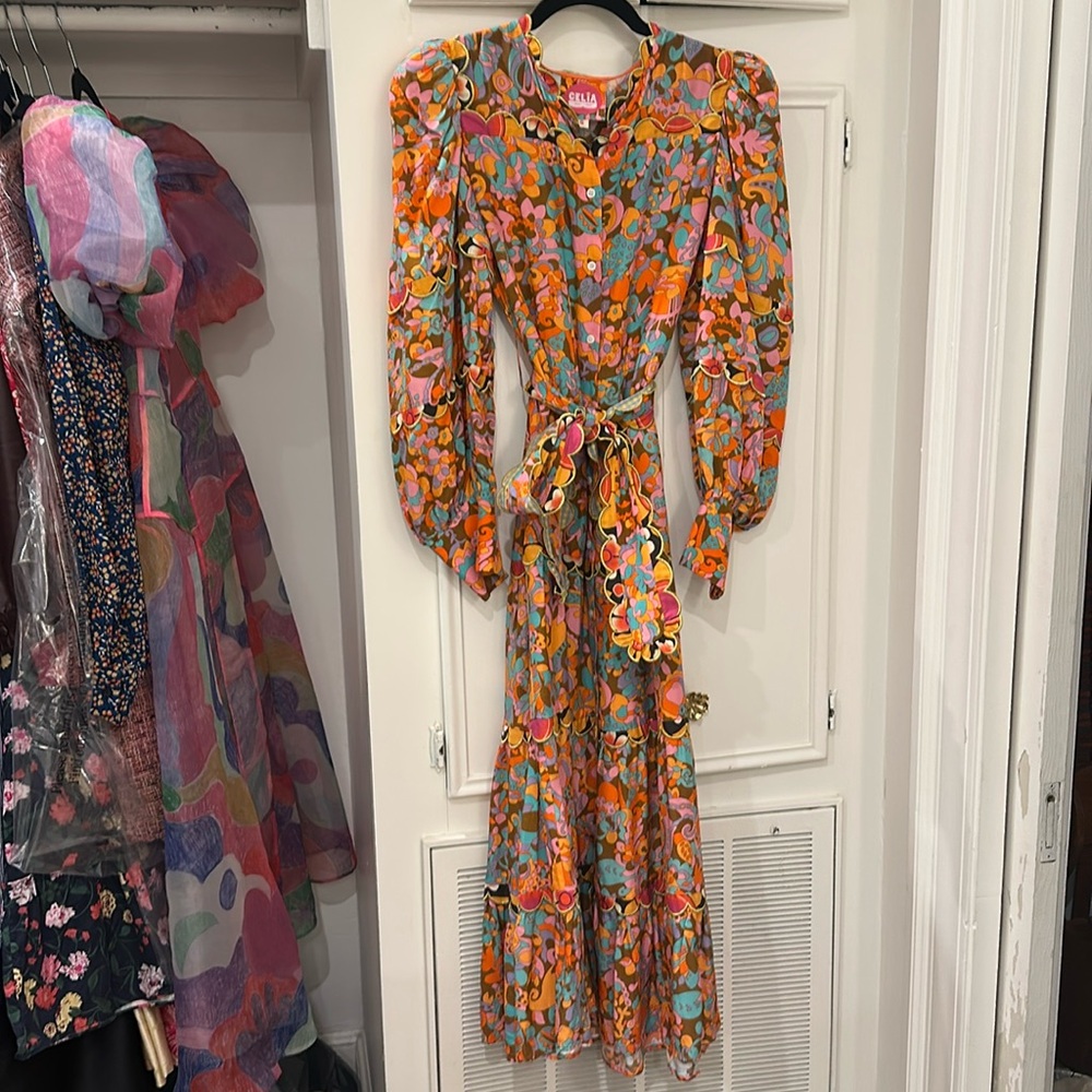 CeliaB Orange Multi Floral Maxi Dress